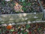 image of grave number 946993